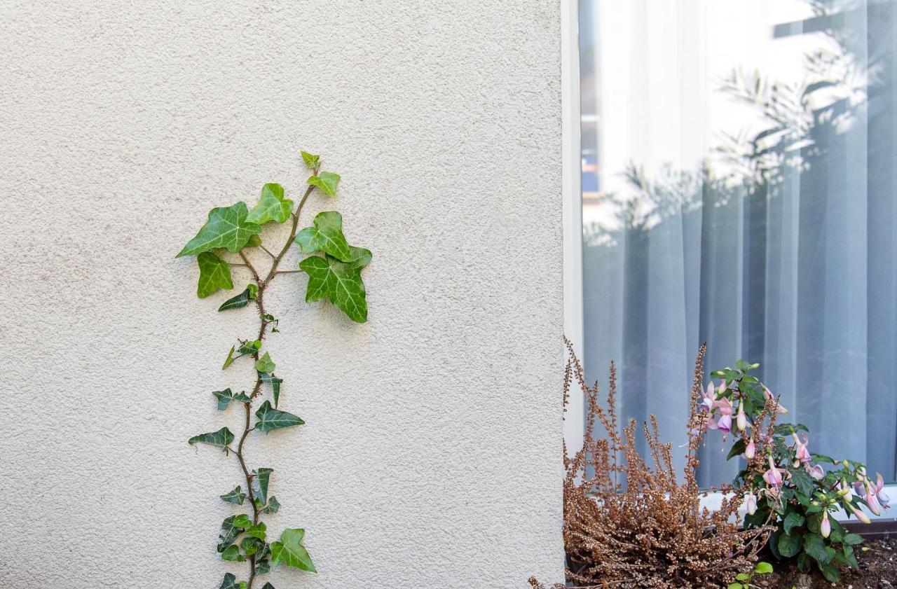 Green Oasis Apartment 维也纳 外观 照片